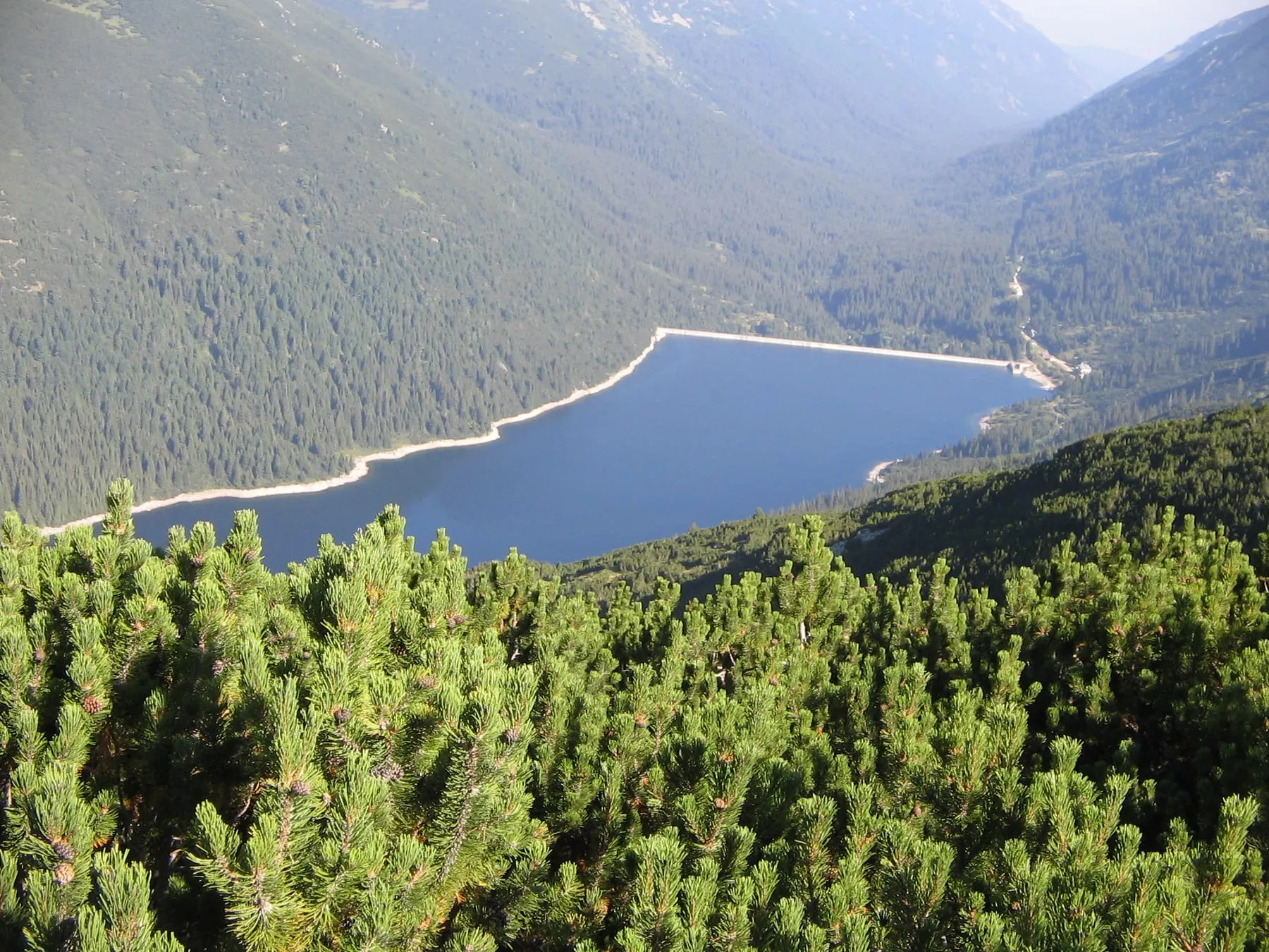 Beli Iskar Reservoir among the Rila forests