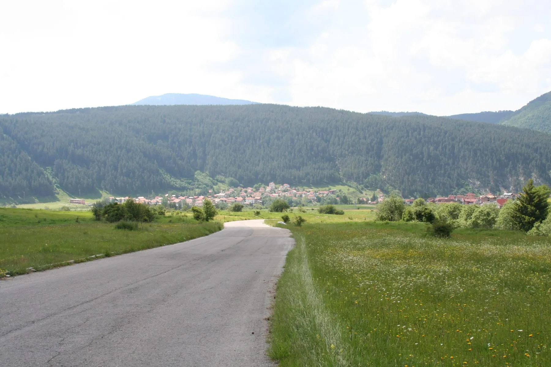 Road and forest near the village of Beli Iskar