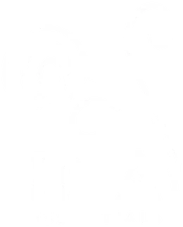 INA Essentials
